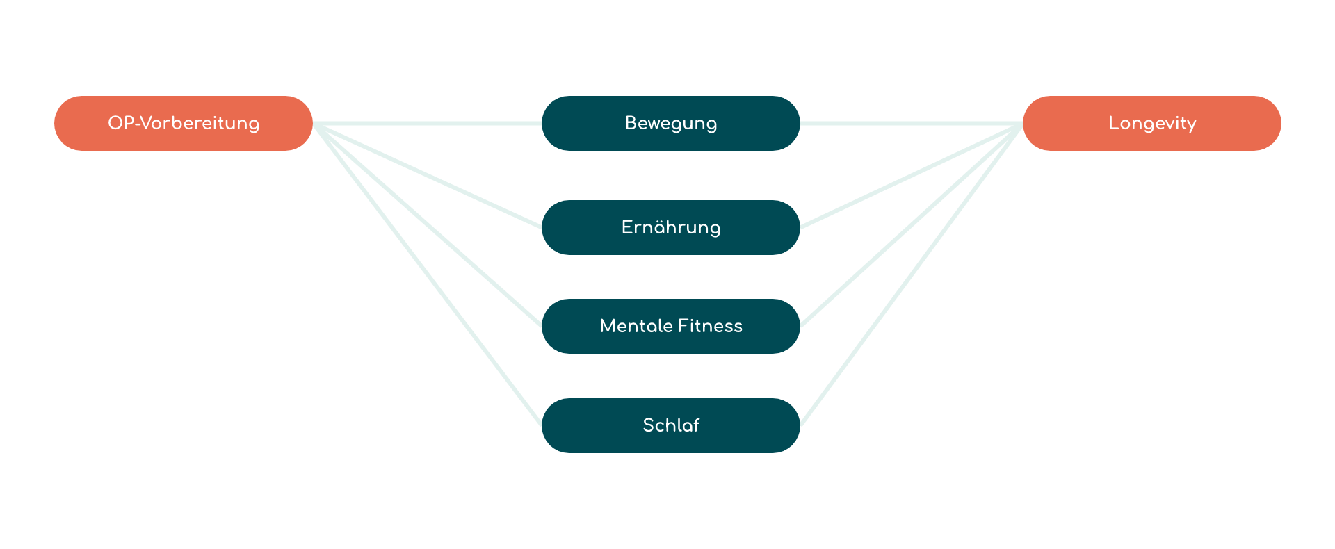 PrehabM Grafik Longevity und OP-Vorbereitung